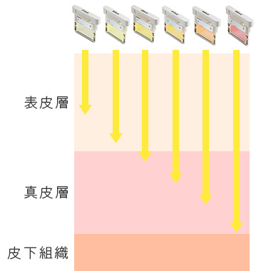 6種類のフィルタを使い分けて症状にアプローチ